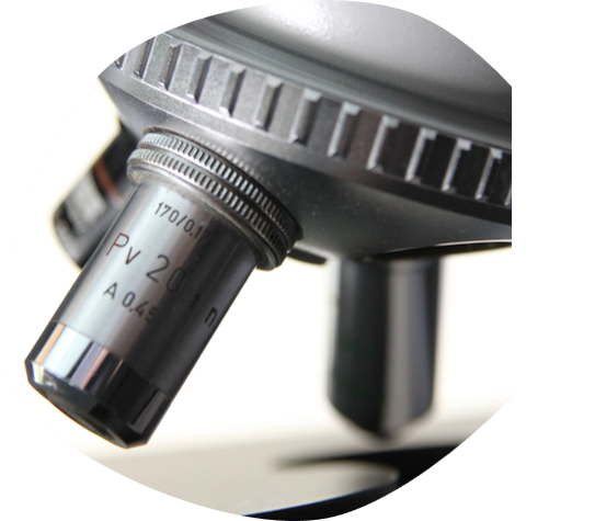 Microscopy Microscopy