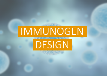 Immunogen Design