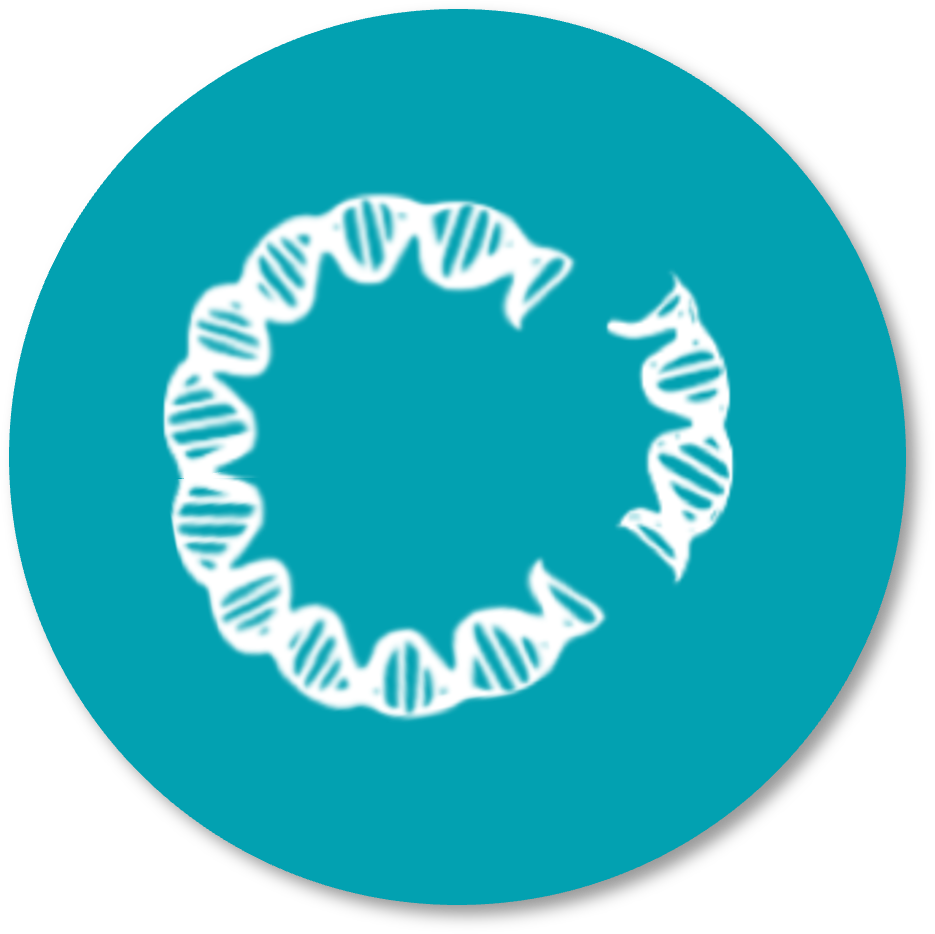 Transfection