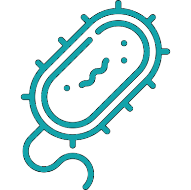 Immunogen - Selection & Design
