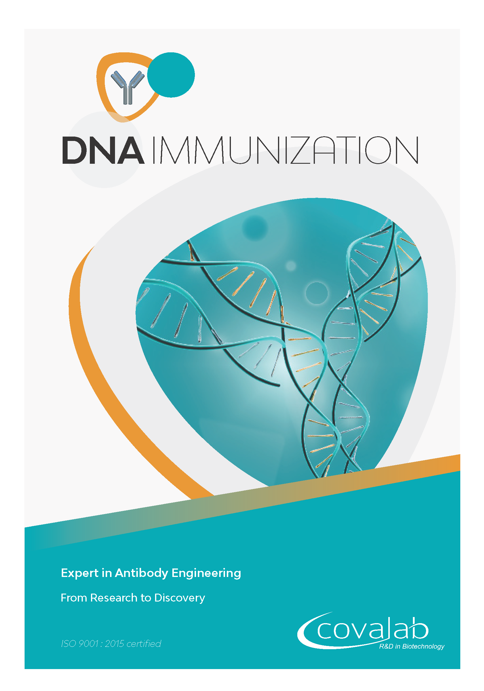 Custom anti-PTM polyclonal antibodies