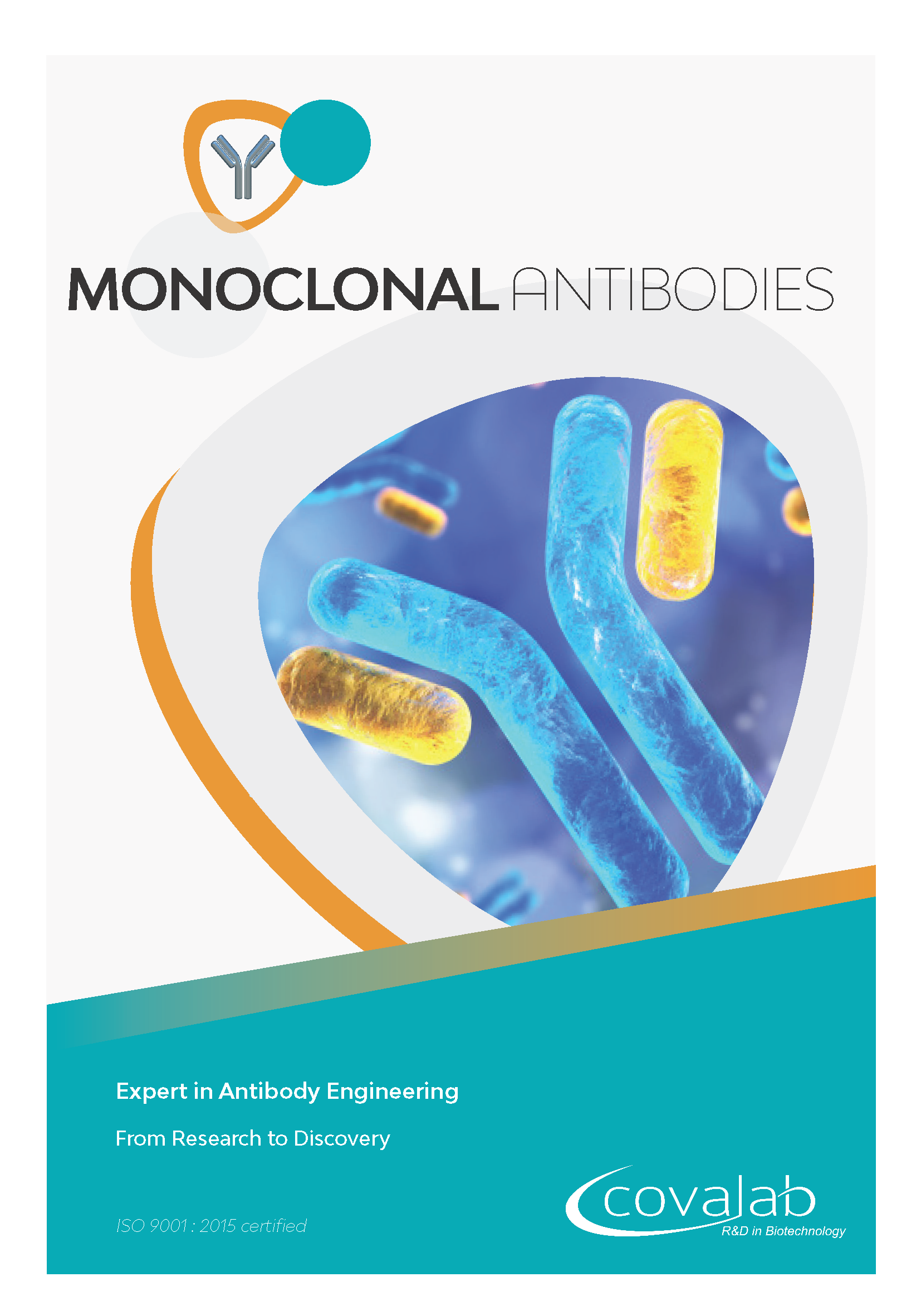 Custom monoclonal antibodies