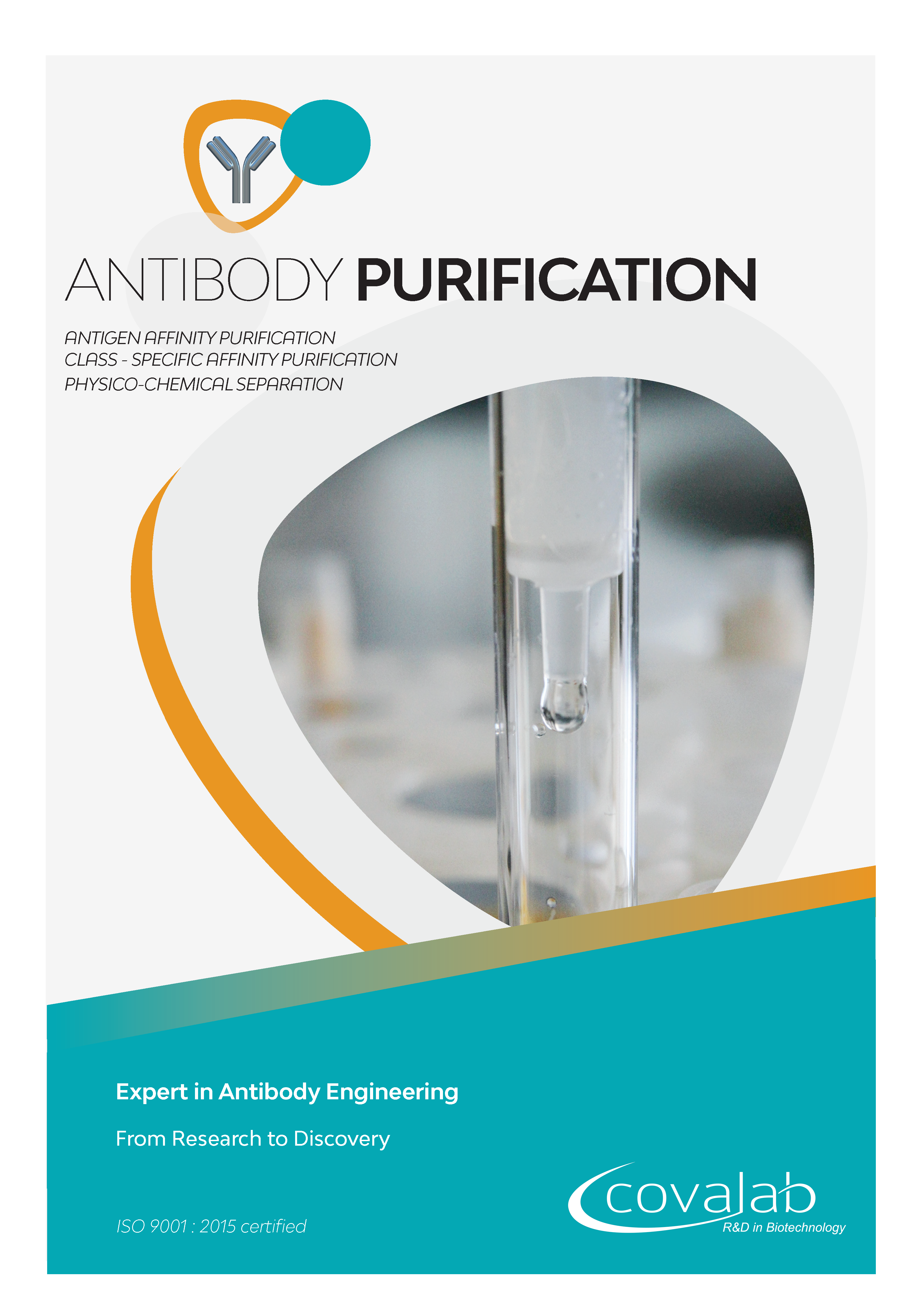 Custom antibody purification