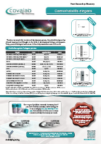 Learn more about our C. elegans-specific products Covalab antibodies directed against proteins from <em>C. elegans</em>