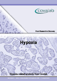 Hypoxia signalling pathway brochure