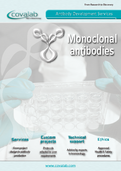 Custom monoclonal antibodies