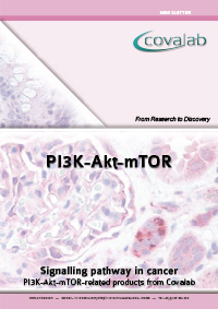 PI3K / AKT / mTOR signalling pathway brochure