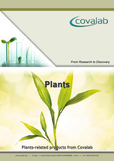 Our Plants-related products Plants