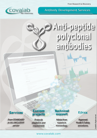 Learn more about our custom anti-peptide polyclonal antibody development service Custom anti-peptide polyclonal antibodies