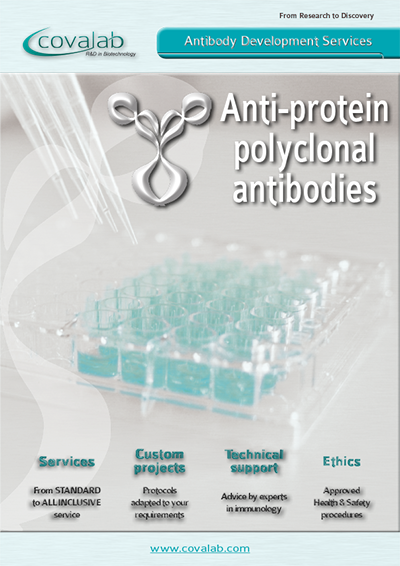 Learn more about our custom anti-protein polyclonal antibody development service Custom anti-protein polyclonal antibodies