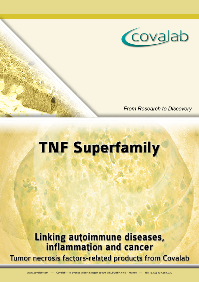 Our TNF-related products TNF signalling pathway