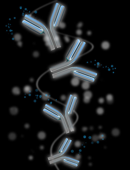 Antibodies Development