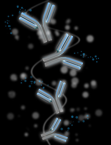 Antibodies Development Antibodies Development
