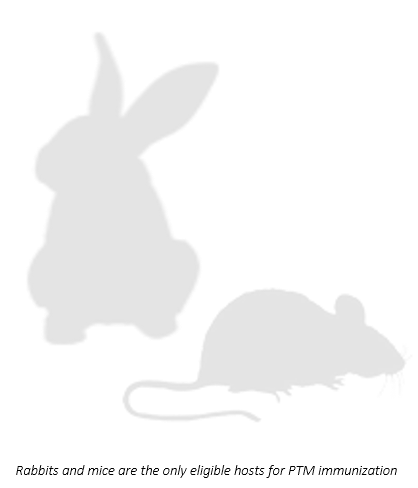 POST TRANSLATIONAL MODIFICATIONS  