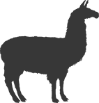 Llama