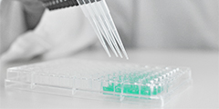 Custom immunoassay development