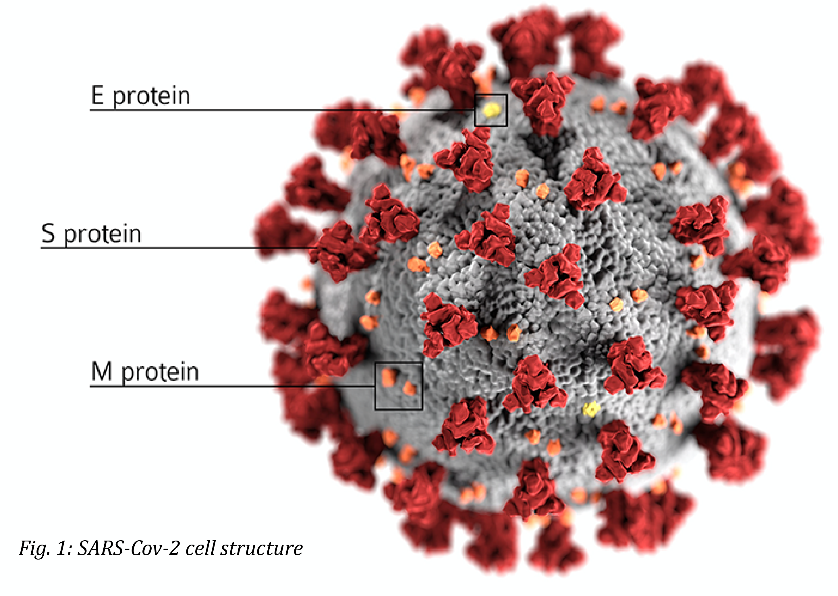 sars-cov-2