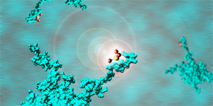 Post-translational modification